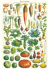 poster- affiche cavallini jardin