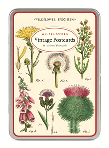 BOITE METAL DE 18 CARTES POSTALES CAVALLINI FLEURS SAUVAGES