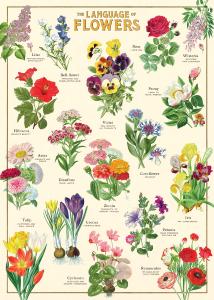 poster - affiche cavallin Langage des Fleurs