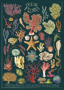 poster - affiche Cavallini fleurs des océans