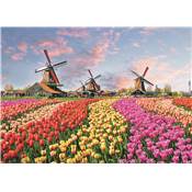 Puzzle tulipes & moulins a vent