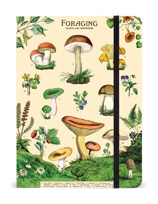 Carnet Cavallini champignons comestbles fermeture élastique ligné 15 x 21 cm