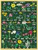 Mini Puzzle 240 pièces fleurs sauvages 27 x 35 cm