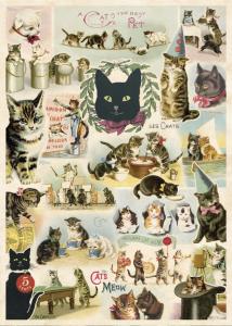 poster - affiche cavallini chats