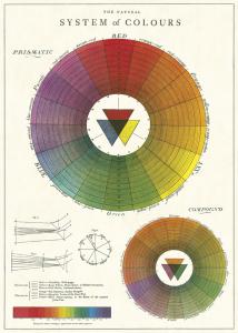 poster - affiche cavallini roue chromatique